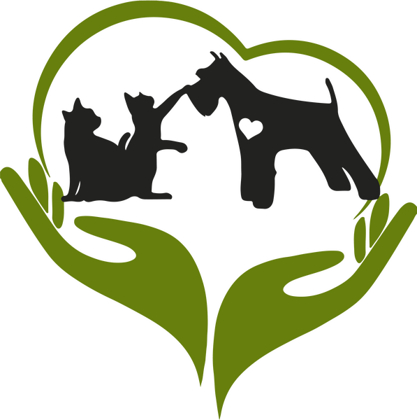 Lucrator depozit magazin online, produse uz veterinar